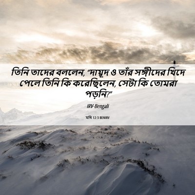 Picture 06 - মথি 12:3 BENIRV - তিনি তাদের বললেন, - Bible Verse Picture