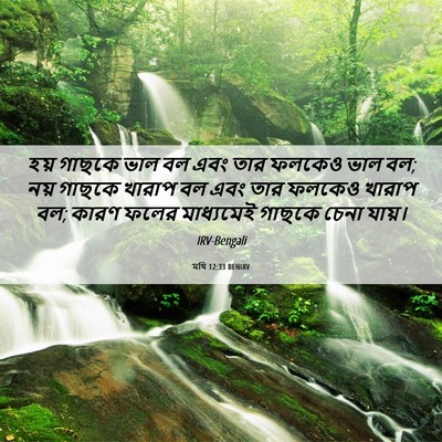 Picture 06 - মথি 12:33 BENIRV - হয় গাছকে ভাল বল - Bible Verse Picture