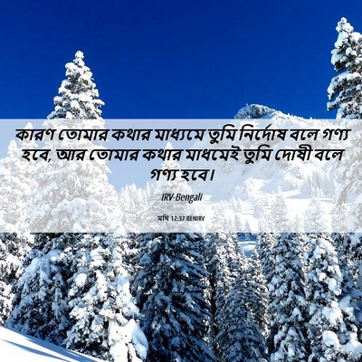 Picture 06 - মথি 12:37 BENIRV - কারণ তোমার কথার - Bible Verse Picture