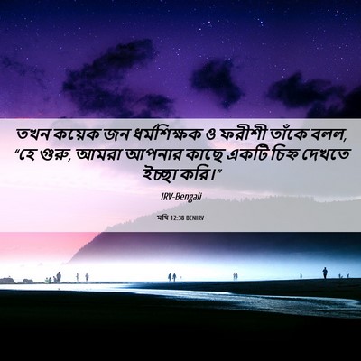 Picture 06 - মথি 12:38 BENIRV - তখন কয়েক জন - Bible Verse Picture
