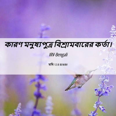 Picture 06 - মথি 12:8 BENIRV - কারণ মনুষ্যপুত্র - Bible Verse Picture