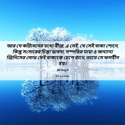 Picture 06 - মথি 13:22 BENIRV - আর যে কাঁটাবনের - Bible Verse Picture