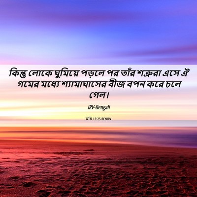 Picture 06 - মথি 13:25 BENIRV - কিন্তু লোকে - Bible Verse Picture