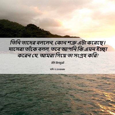 Picture 06 - মথি 13:28 BENIRV - তিনি তাদের বললেন, - Bible Verse Picture