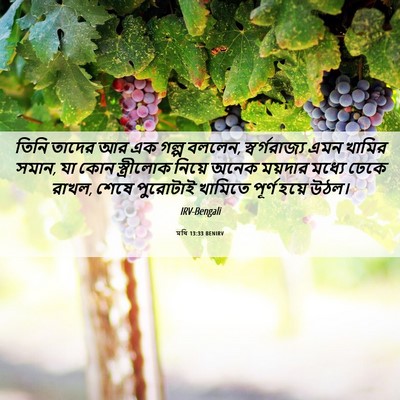 Picture 06 - মথি 13:33 BENIRV - তিনি তাদের আর এক - Bible Verse Picture