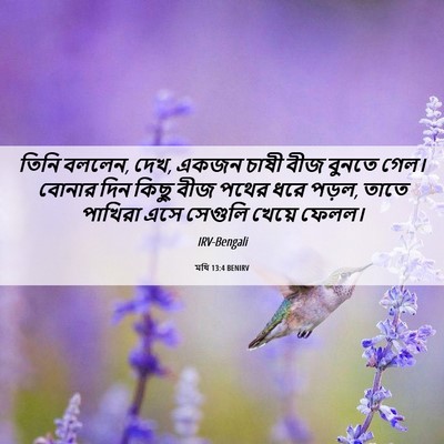 Picture 06 - মথি 13:4 BENIRV - তিনি বললেন, দেখ, - Bible Verse Picture