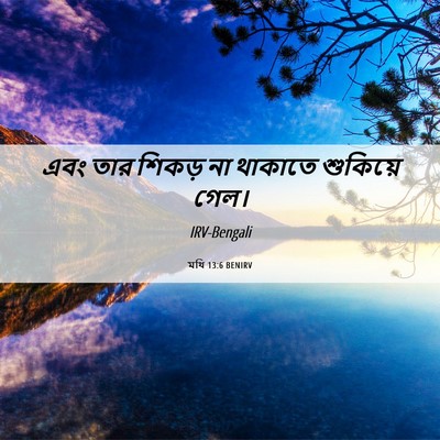 Picture 06 - মথি 13:6 BENIRV - এবং তার শিকড় না - Bible Verse Picture