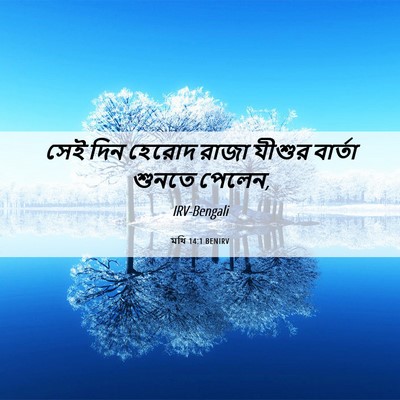 Picture 06 - মথি 14:1 BENIRV - সেই দিন হেরোদ রাজা - Bible Verse Picture