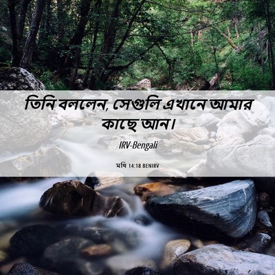 Picture 06 - মথি 14:18 BENIRV - তিনি বললেন, সেগুলি - Bible Verse Picture