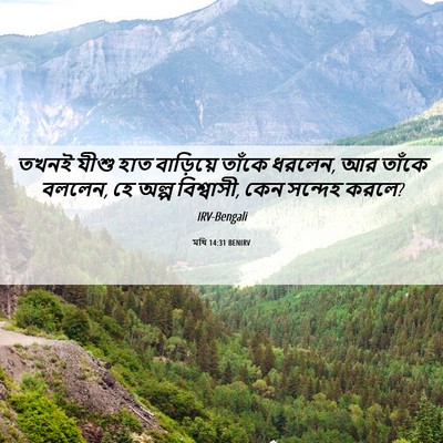 Picture 06 - মথি 14:31 BENIRV - তখনই যীশু হাত - Bible Verse Picture