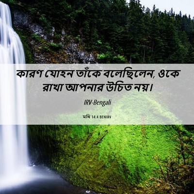 Picture 06 - মথি 14:4 BENIRV - কারণ যোহন তাঁকে - Bible Verse Picture
