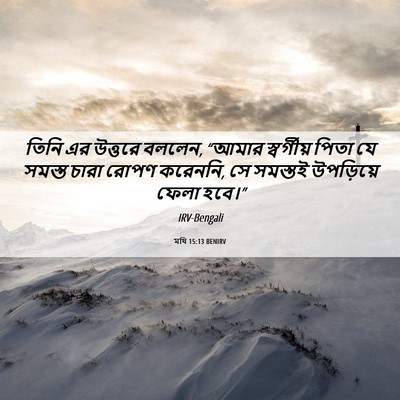 Picture 06 - মথি 15:13 BENIRV - তিনি এর উত্তরে - Bible Verse Picture