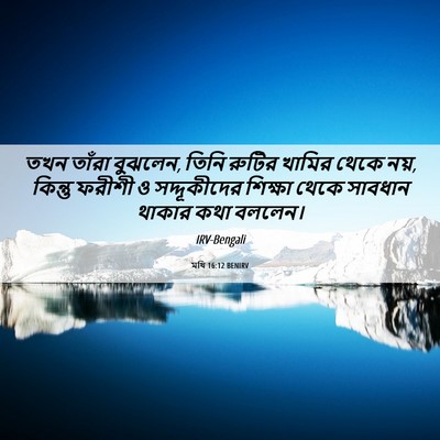 Picture 06 - মথি 16:12 BENIRV - তখন তাঁরা বুঝলেন, - Bible Verse Picture