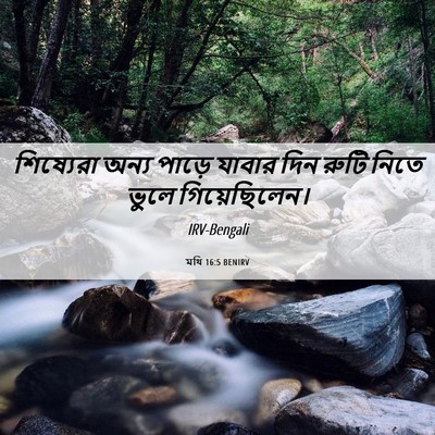 Picture 06 - মথি 16:5 BENIRV - শিষ্যেরা অন্য - Bible Verse Picture