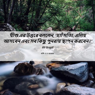 Picture 06 - মথি 17:11 BENIRV - যীশু এর উত্তরে - Bible Verse Picture