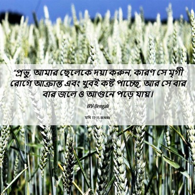 Picture 06 - মথি 17:15 BENIRV - “প্রভু, আমার - Bible Verse Picture