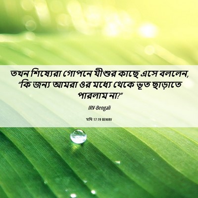 Picture 06 - মথি 17:19 BENIRV - তখন শিষ্যেরা - Bible Verse Picture