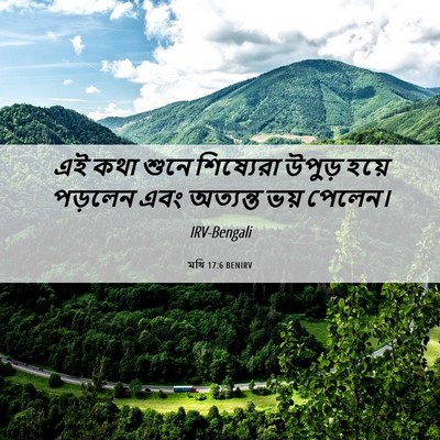Picture 06 - মথি 17:6 BENIRV - এই কথা শুনে - Bible Verse Picture
