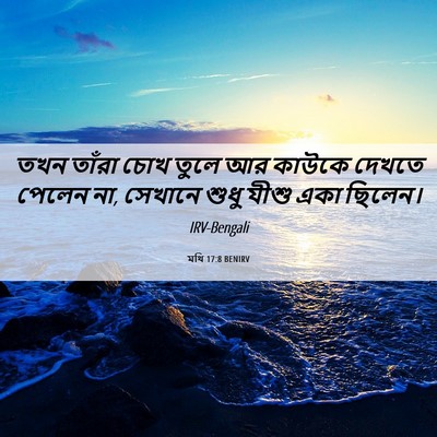 Picture 06 - মথি 17:8 BENIRV - তখন তাঁরা চোখ তুলে - Bible Verse Picture
