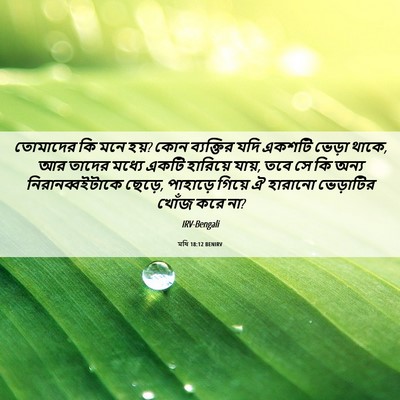 Picture 06 - মথি 18:12 BENIRV - তোমাদের কি মনে হয়? - Bible Verse Picture