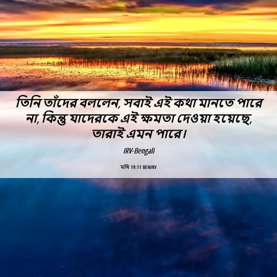 Picture 06 - মথি 19:11 BENIRV - তিনি তাঁদের বললেন, - Bible Verse Picture