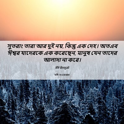 Picture 06 - মথি 19:6 BENIRV - সুতরাং তারা আর দুই - Bible Verse Picture