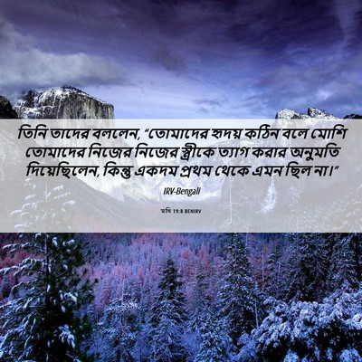 Picture 06 - মথি 19:8 BENIRV - তিনি তাদের বললেন, - Bible Verse Picture
