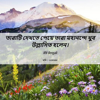 Picture 06 - মথি 2:10 BENIRV - তারাটি দেখতে - Bible Verse Picture