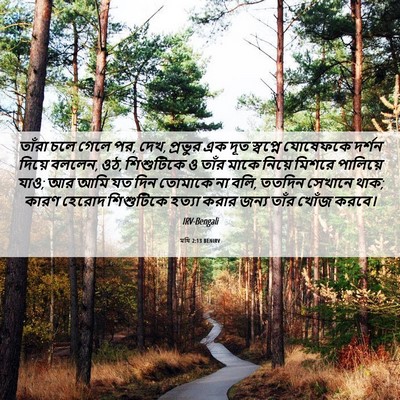 Picture 06 - মথি 2:13 BENIRV - তাঁরা চলে গেলে পর, - Bible Verse Picture
