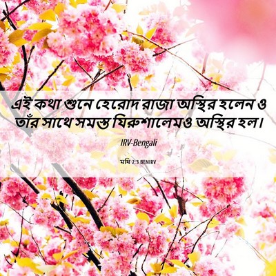 Picture 06 - মথি 2:3 BENIRV - এই কথা শুনে হেরোদ - Bible Verse Picture