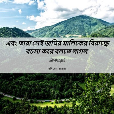 Picture 06 - মথি 20:11 BENIRV - এবং তারা সেই জমির - Bible Verse Picture