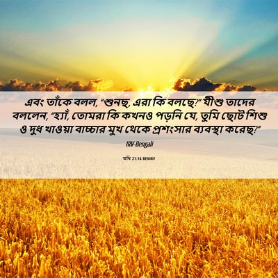 Picture 06 - মথি 21:16 BENIRV - এবং তাঁকে বলল, - Bible Verse Picture