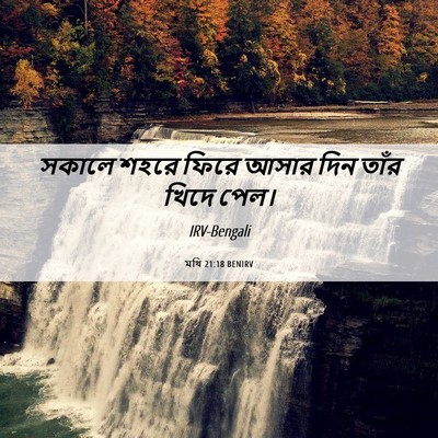 Picture 06 - মথি 21:18 BENIRV - সকালে শহরে ফিরে - Bible Verse Picture