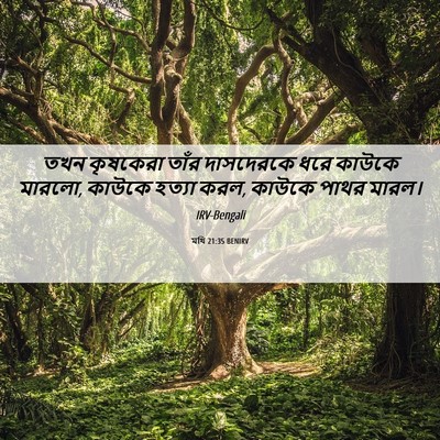 Picture 06 - মথি 21:35 BENIRV - তখন কৃষকেরা তাঁর - Bible Verse Picture