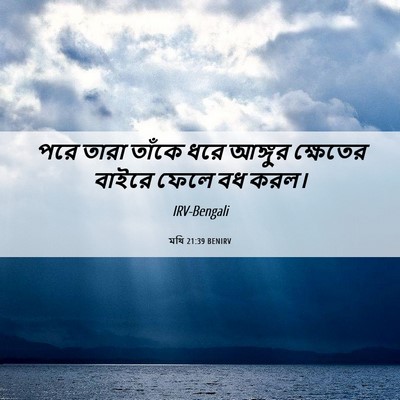 Picture 06 - মথি 21:39 BENIRV - পরে তারা তাঁকে ধরে - Bible Verse Picture