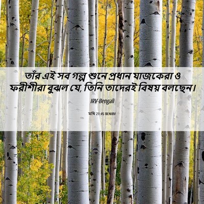 Picture 06 - মথি 21:45 BENIRV - তাঁর এই সব গল্প - Bible Verse Picture