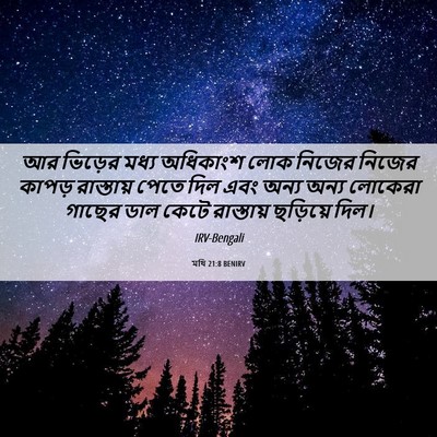 Picture 06 - মথি 21:8 BENIRV - আর ভিড়ের মধ্য - Bible Verse Picture