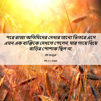 Picture 06 - মথি 22:11 BENIRV - পরে রাজা অতিথিদের - Bible Verse Picture