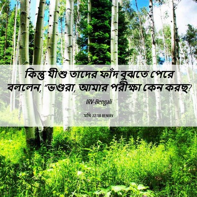 Picture 06 - মথি 22:18 BENIRV - কিন্তু যীশু তাদের - Bible Verse Picture