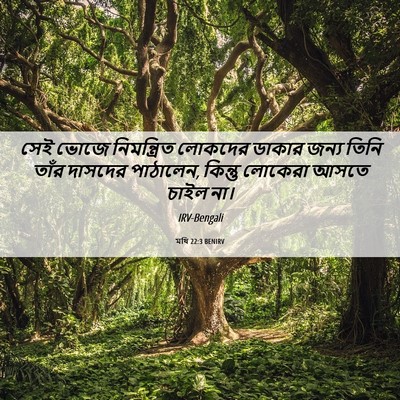 Picture 06 - মথি 22:3 BENIRV - সেই ভোজে - Bible Verse Picture