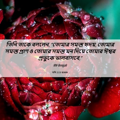 Picture 06 - মথি 22:37 BENIRV - তিনি তাকে বললেন, - Bible Verse Picture