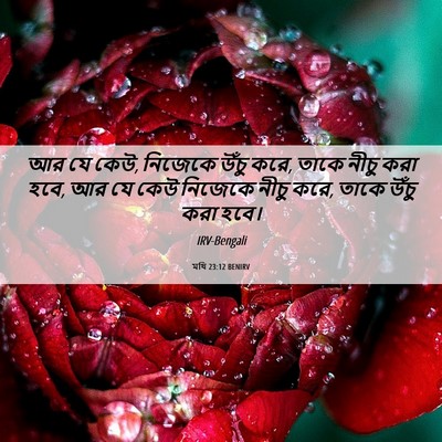 Picture 06 - মথি 23:12 BENIRV - আর যে কেউ, নিজেকে - Bible Verse Picture