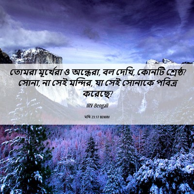 Picture 06 - মথি 23:17 BENIRV - তোমরা মূর্খেরা ও - Bible Verse Picture