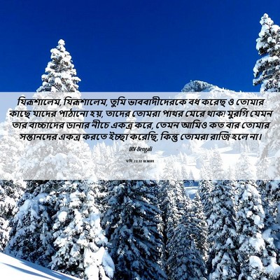 Picture 06 - মথি 23:37 BENIRV - যিরূশালেম, - Bible Verse Picture