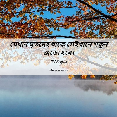 Picture 06 - মথি 24:28 BENIRV - যেখান মৃতদেহ থাকে - Bible Verse Picture