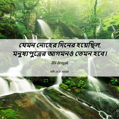 Picture 06 - মথি 24:37 BENIRV - যেমন নোহের দিনের - Bible Verse Picture