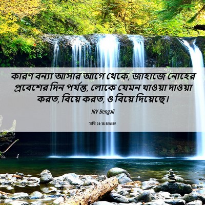 Picture 06 - মথি 24:38 BENIRV - কারণ বন্যা আসার - Bible Verse Picture