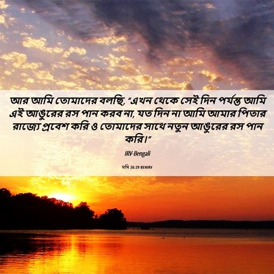 Picture 06 - মথি 26:29 BENIRV - আর আমি তোমাদের - Bible Verse Picture
