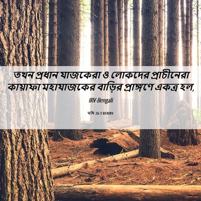 Picture 06 - মথি 26:3 BENIRV - তখন প্রধান - Bible Verse Picture