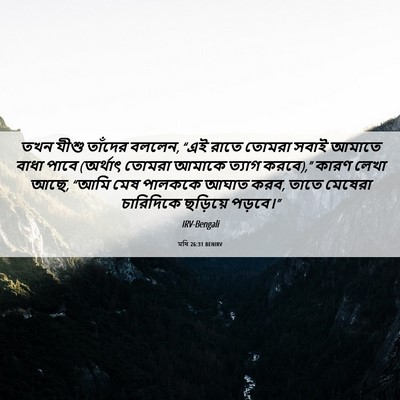 Picture 06 - মথি 26:31 BENIRV - তখন যীশু তাঁদের - Bible Verse Picture